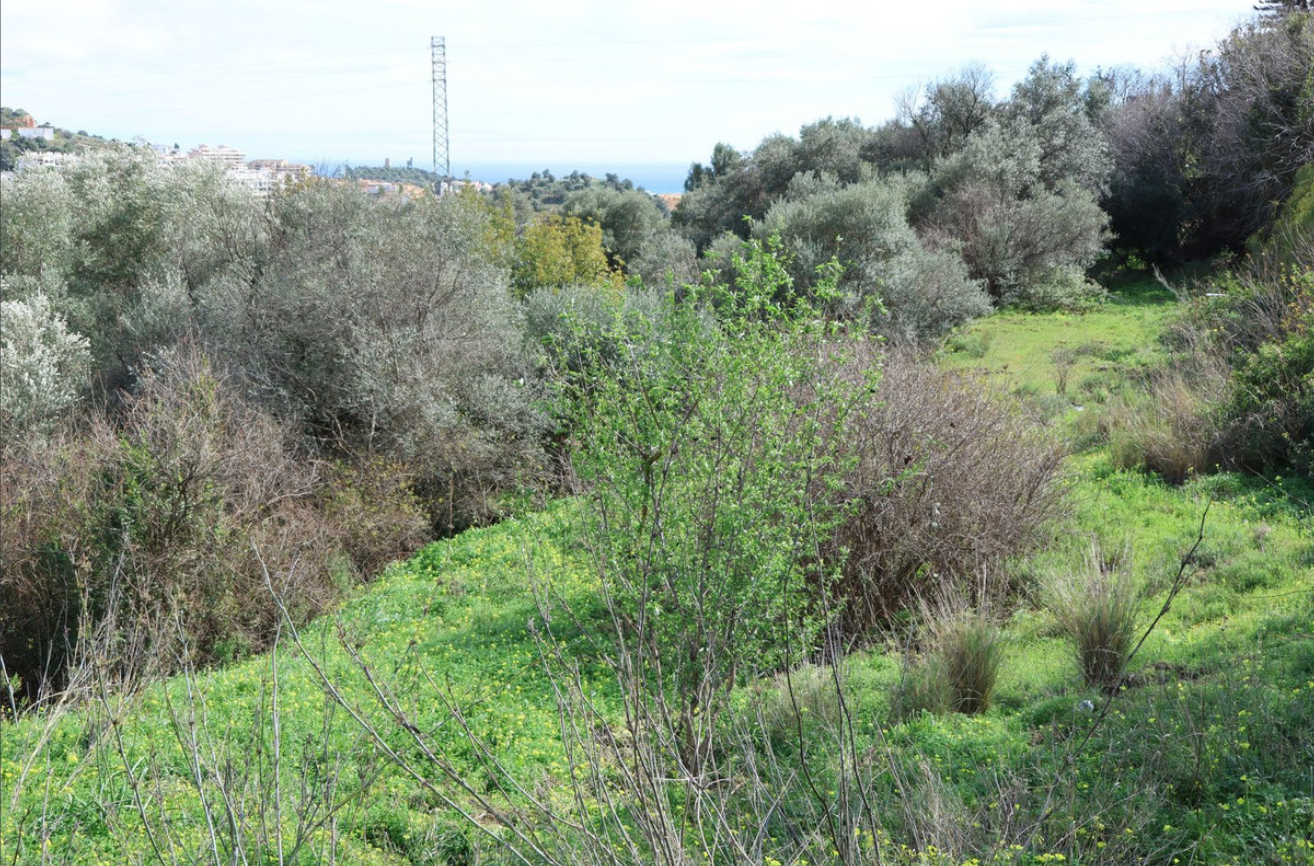 Parcela Urbana-Zona Lew Hoad-La Loma-Vista Mar