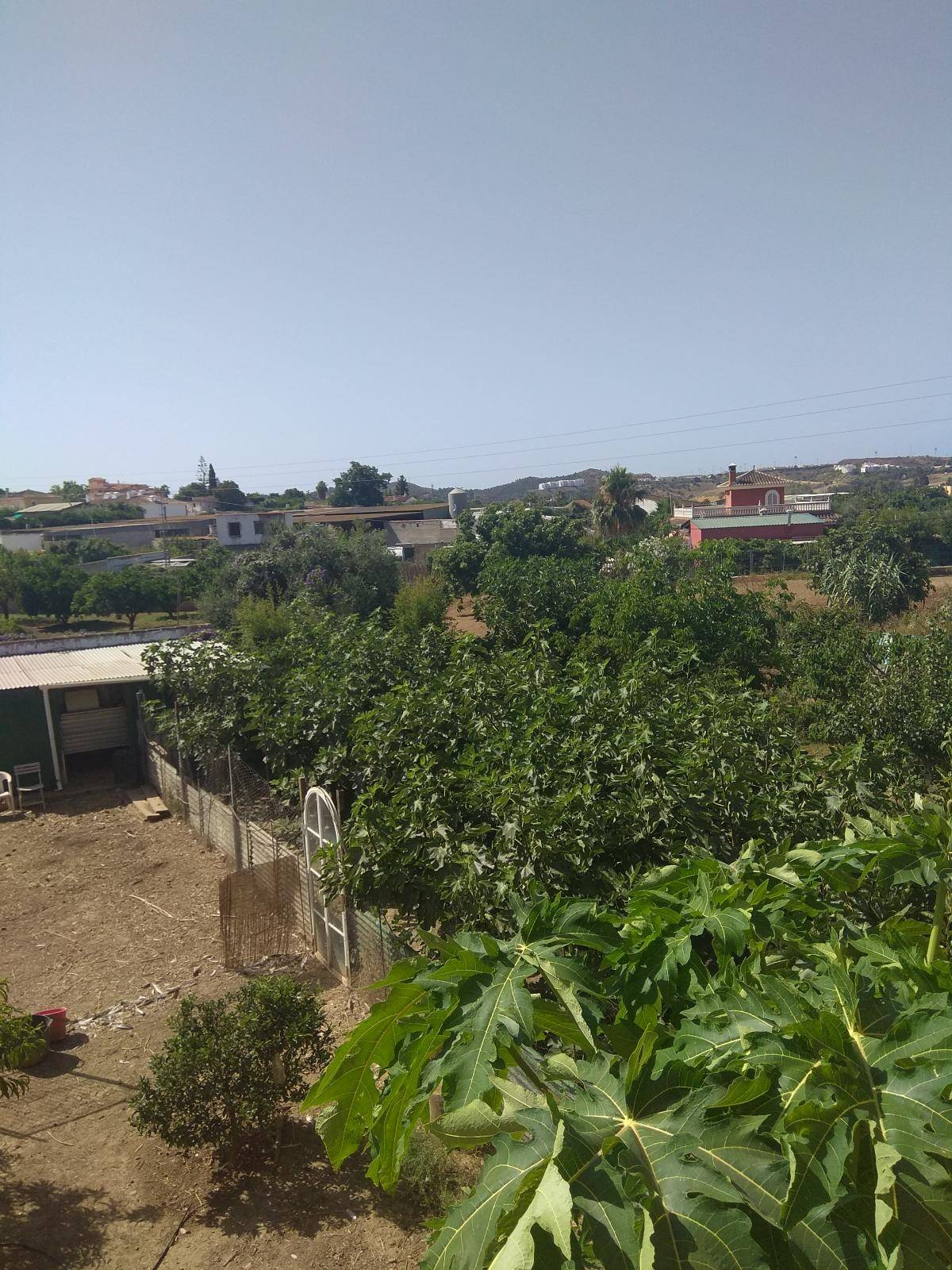 APARTAMENTO DOS DORMITORIOS EN MIJAS SOTA