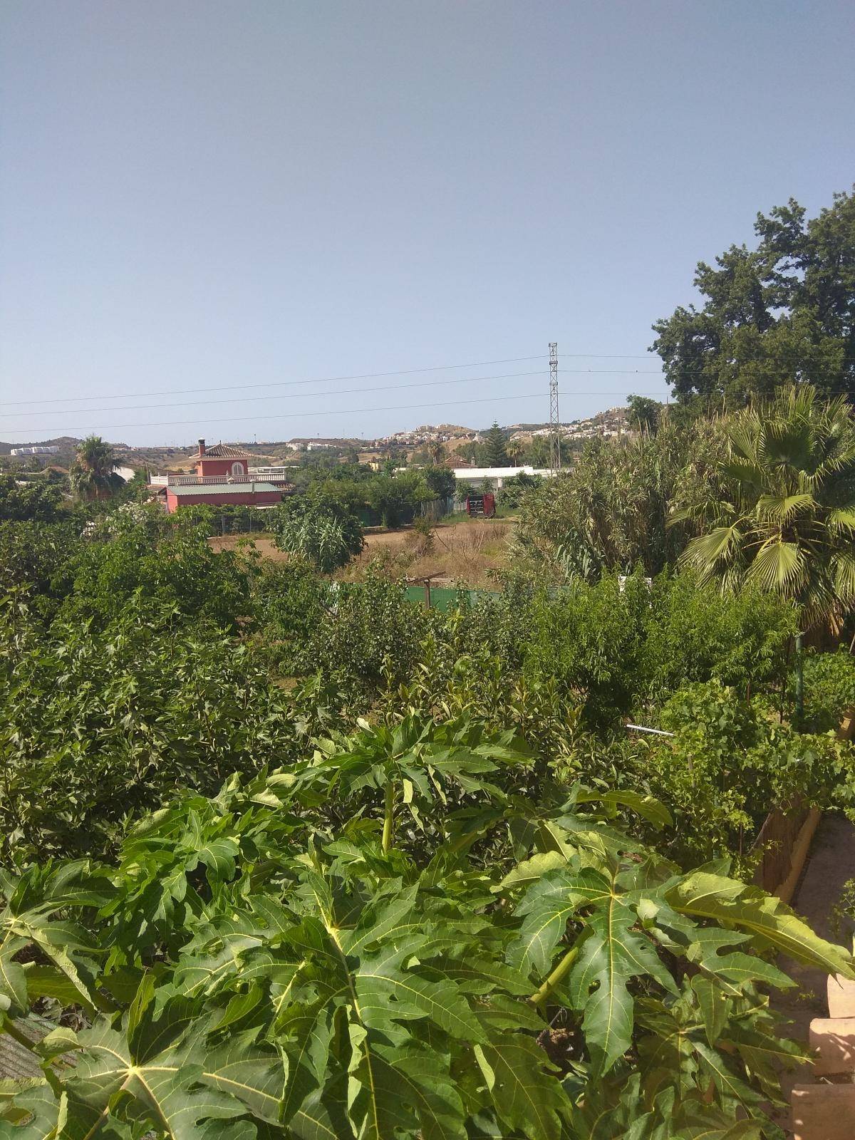 APARTAMENTO DOS DORMITORIOS EN MIJAS SOTA