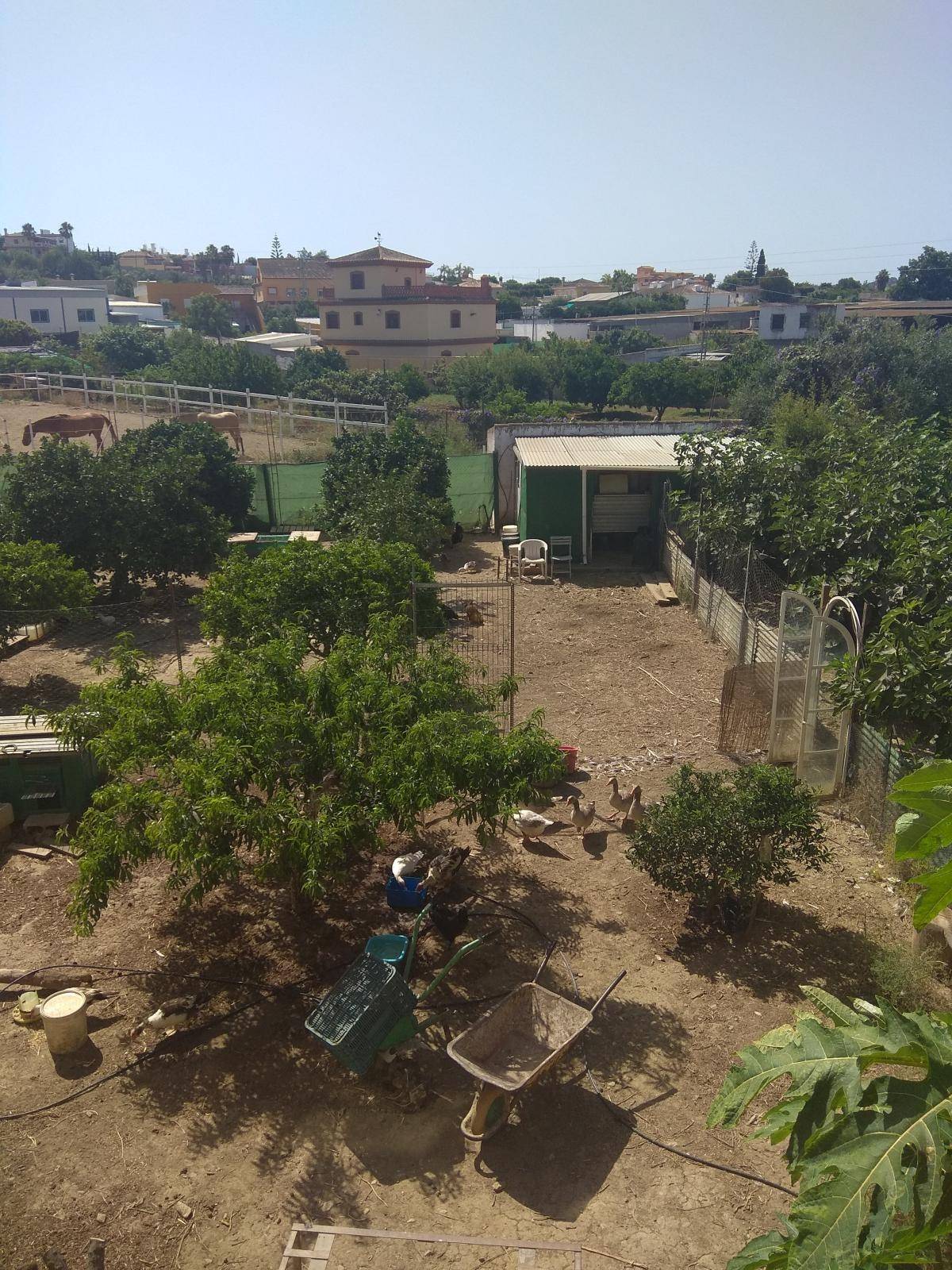 APARTAMENTO DOS DORMITORIOS EN MIJAS SOTA