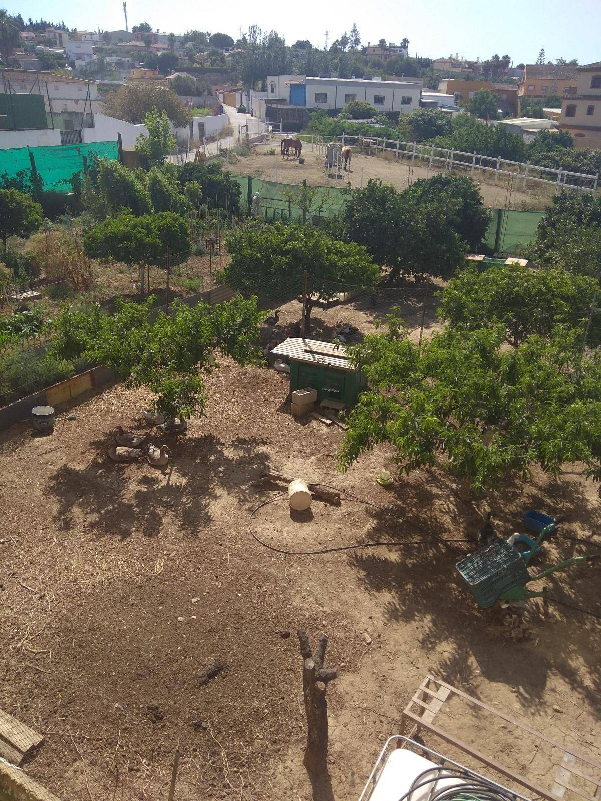 APARTAMENTO DOS DORMITORIOS EN MIJAS SOTA