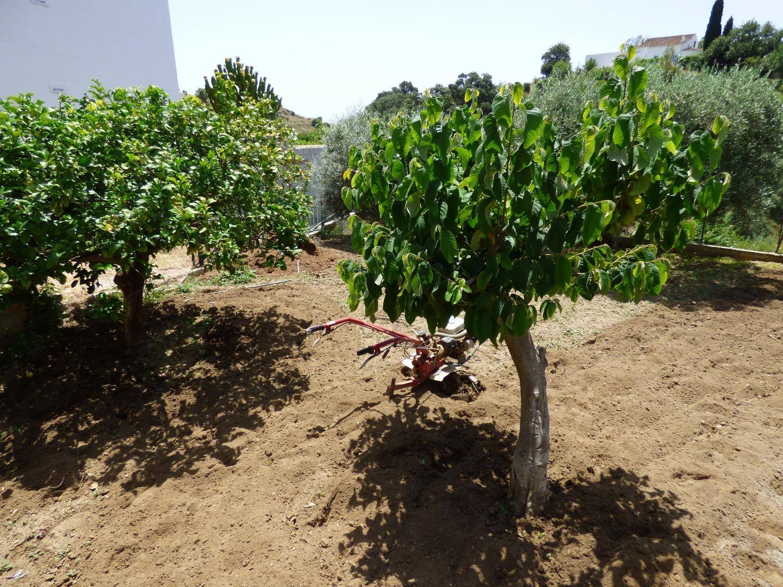 Parzelle zum verkauf in Mijas