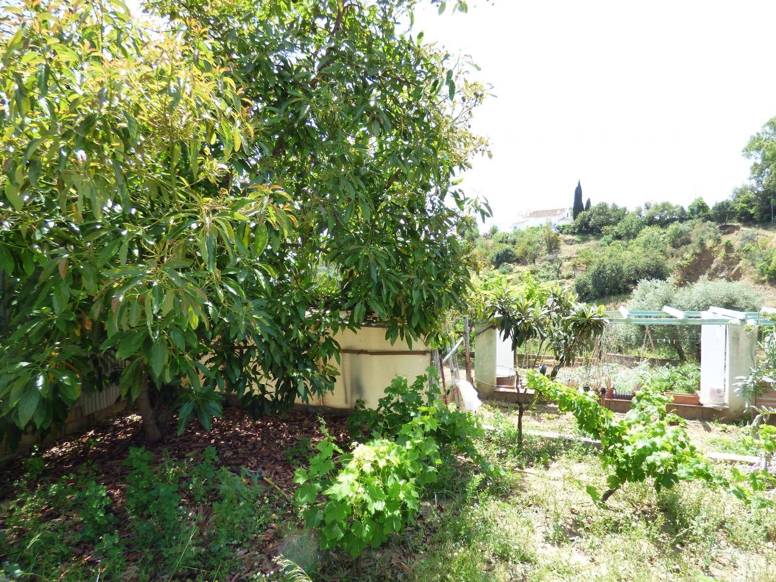 Parzelle zum verkauf in Mijas