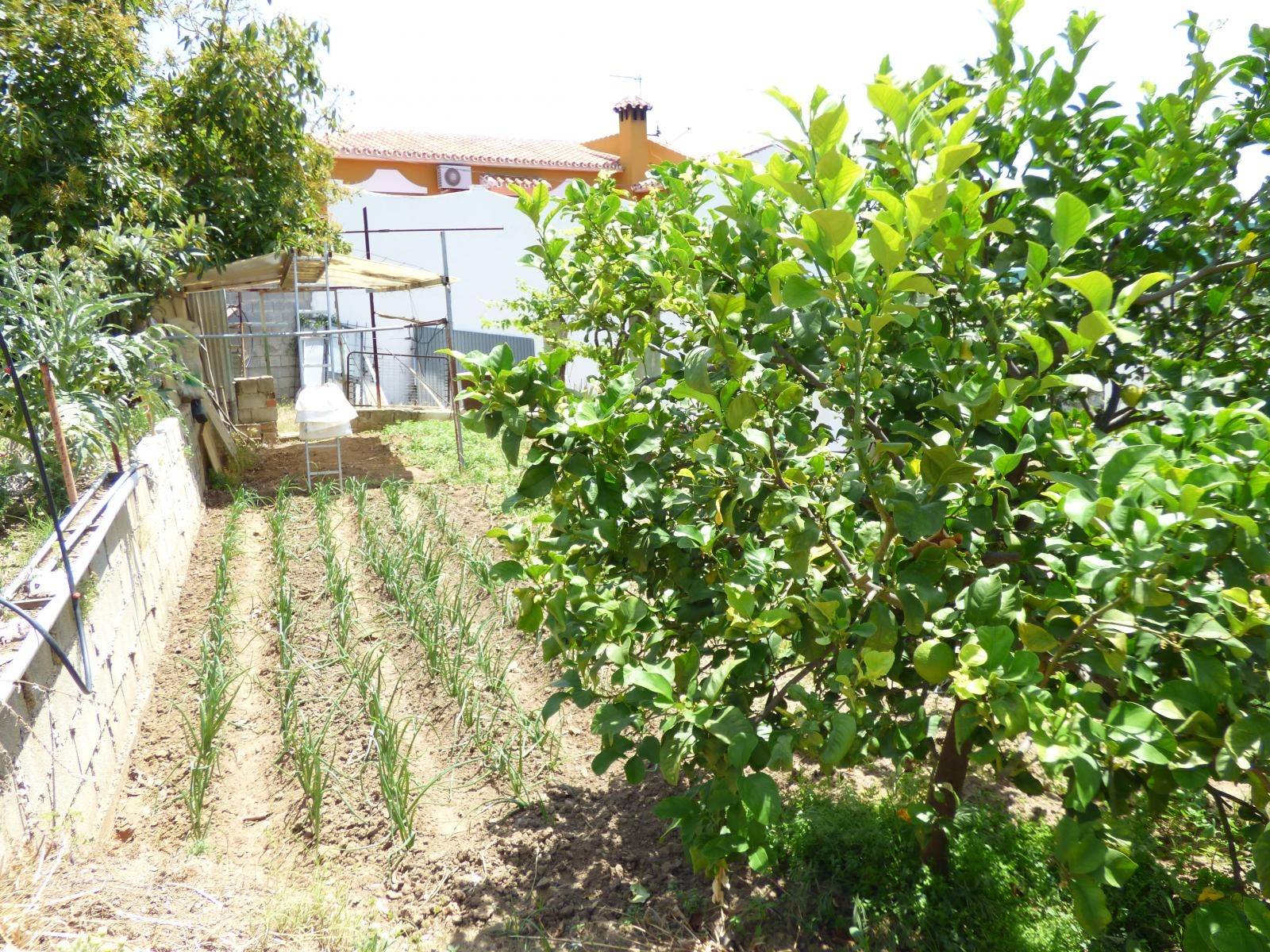 Parcelle en vente à Mijas