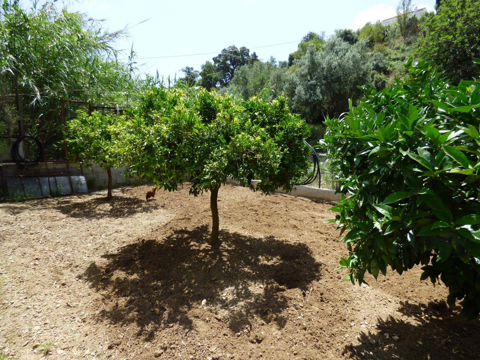 Parzelle zum verkauf in Mijas