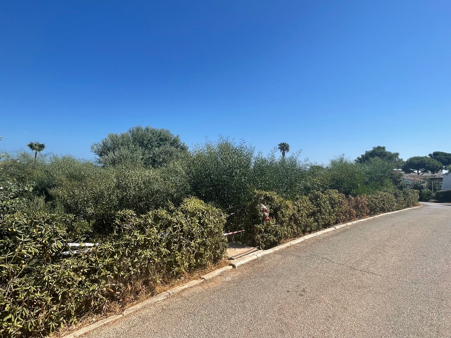 Parcel til salg i Mijas
