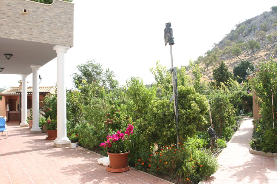 Hus til salg i Cuevas del Becerro