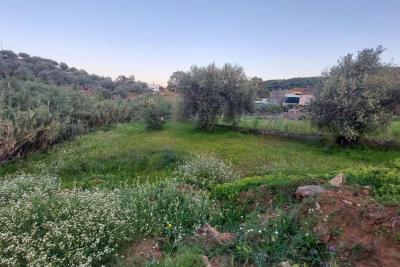 Parzelle zum verkauf in Sitio de Calahonda (Mijas)
