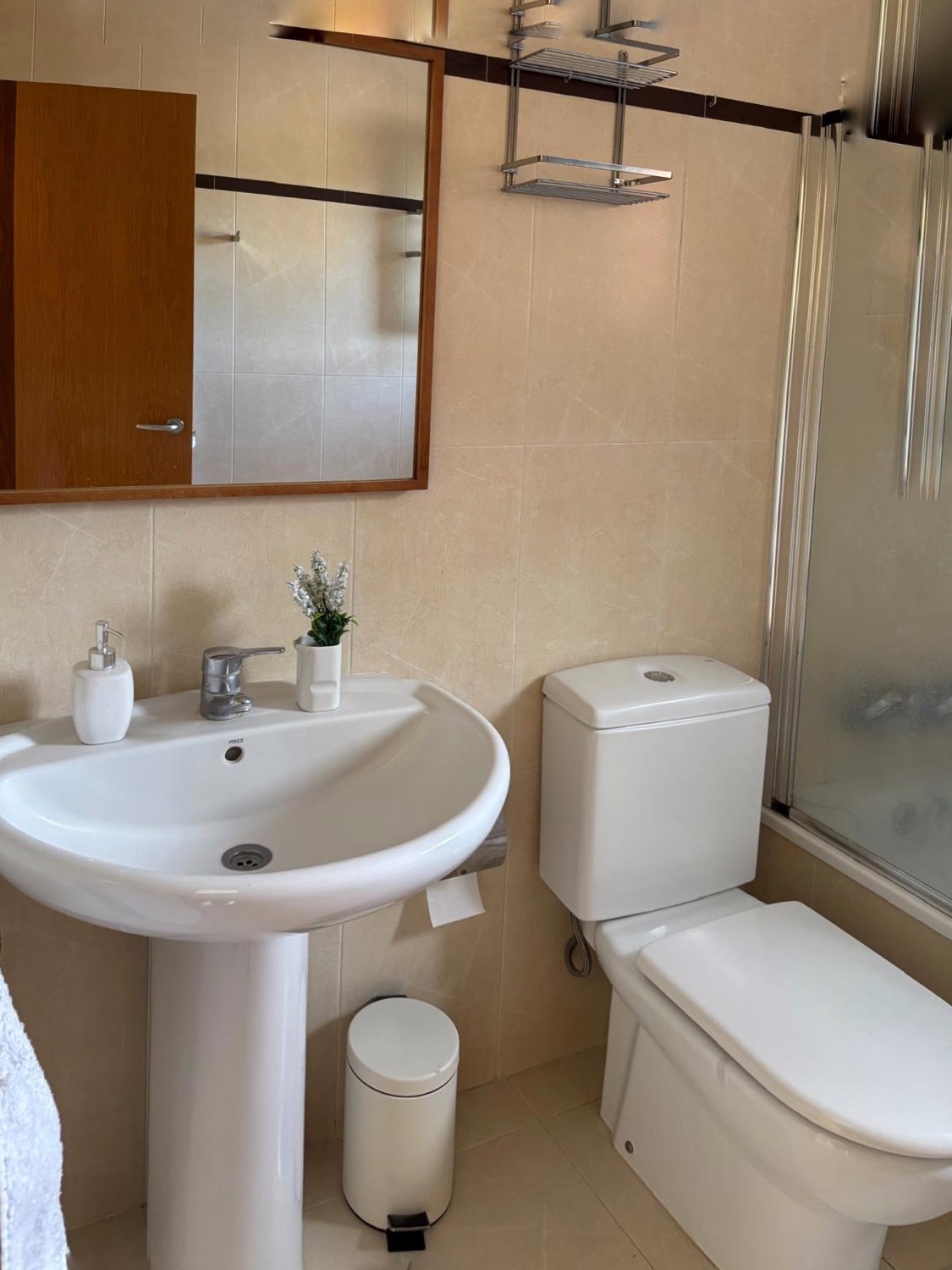Appartement en vente à Elviria-Cabopino (Marbella)