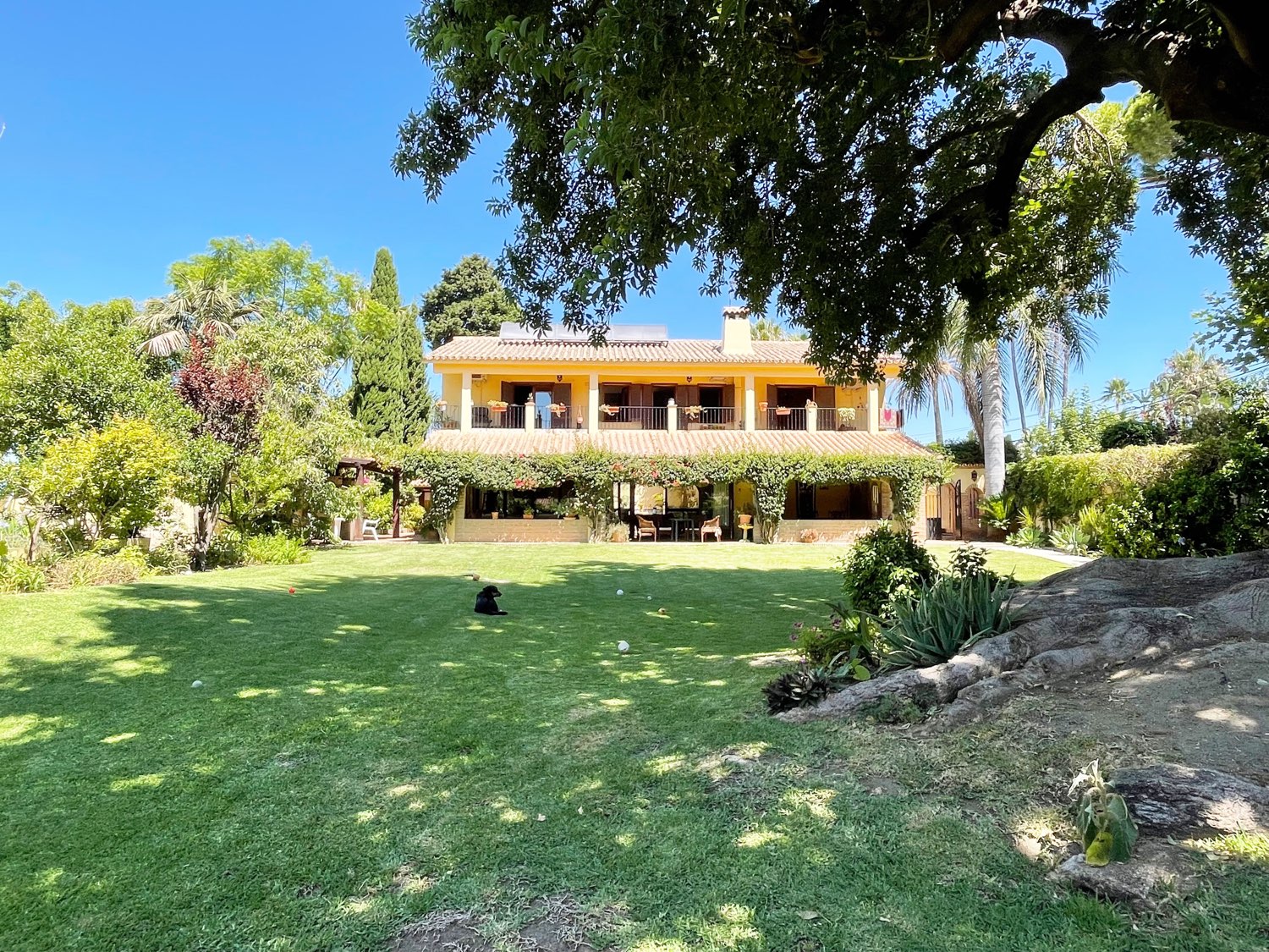 Villa te koop in San Pedro de Alcántara (Marbella)