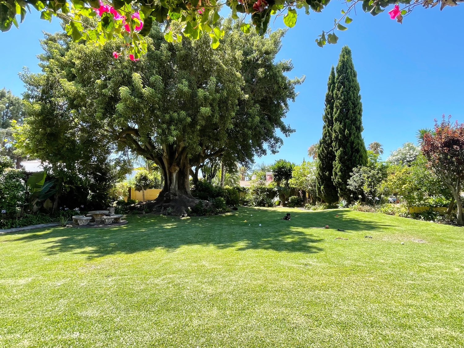 Villa te koop in San Pedro de Alcántara (Marbella)