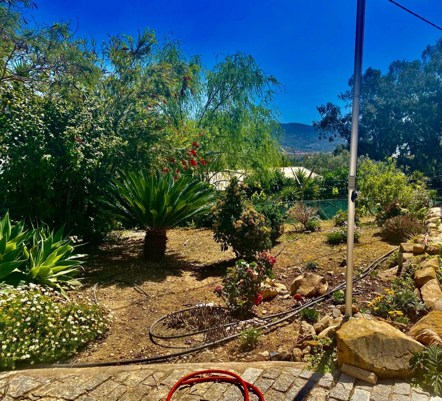 Villa independiente en Venta-Baja, Alcaucín