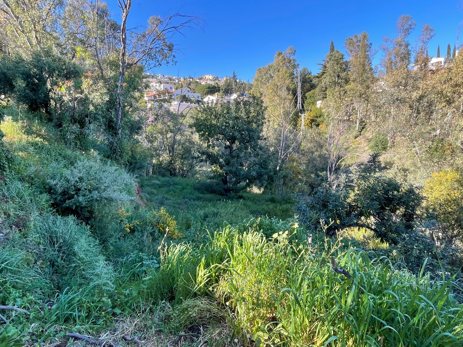 Plot en venda in Torremuelle (Benalmádena)