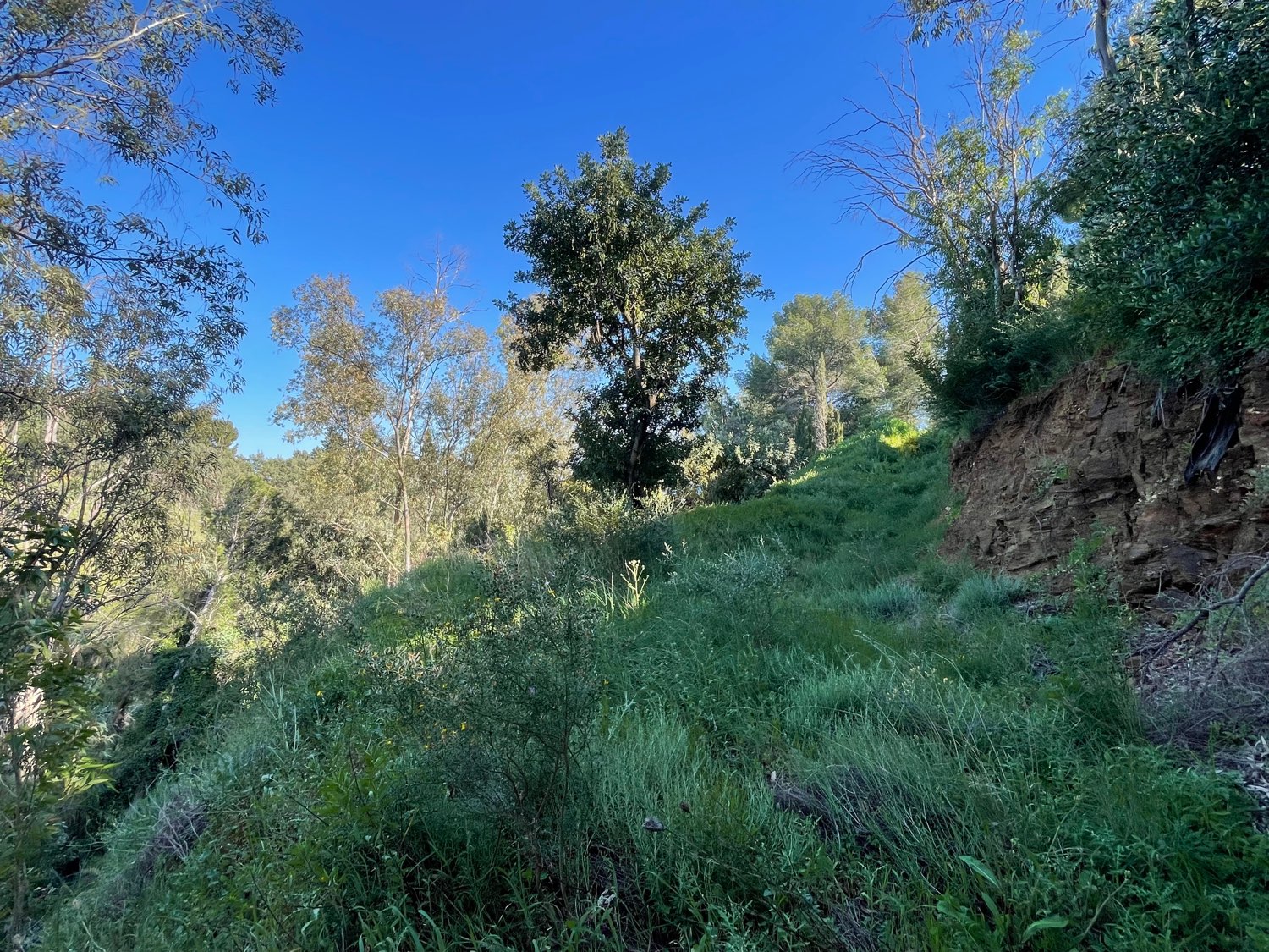 Plot en venda in Torremuelle (Benalmádena)