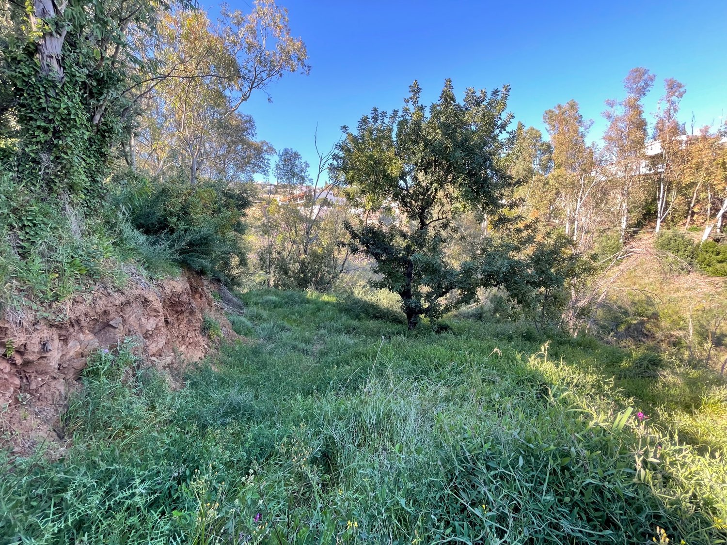 Plot en venda in Torremuelle (Benalmádena)