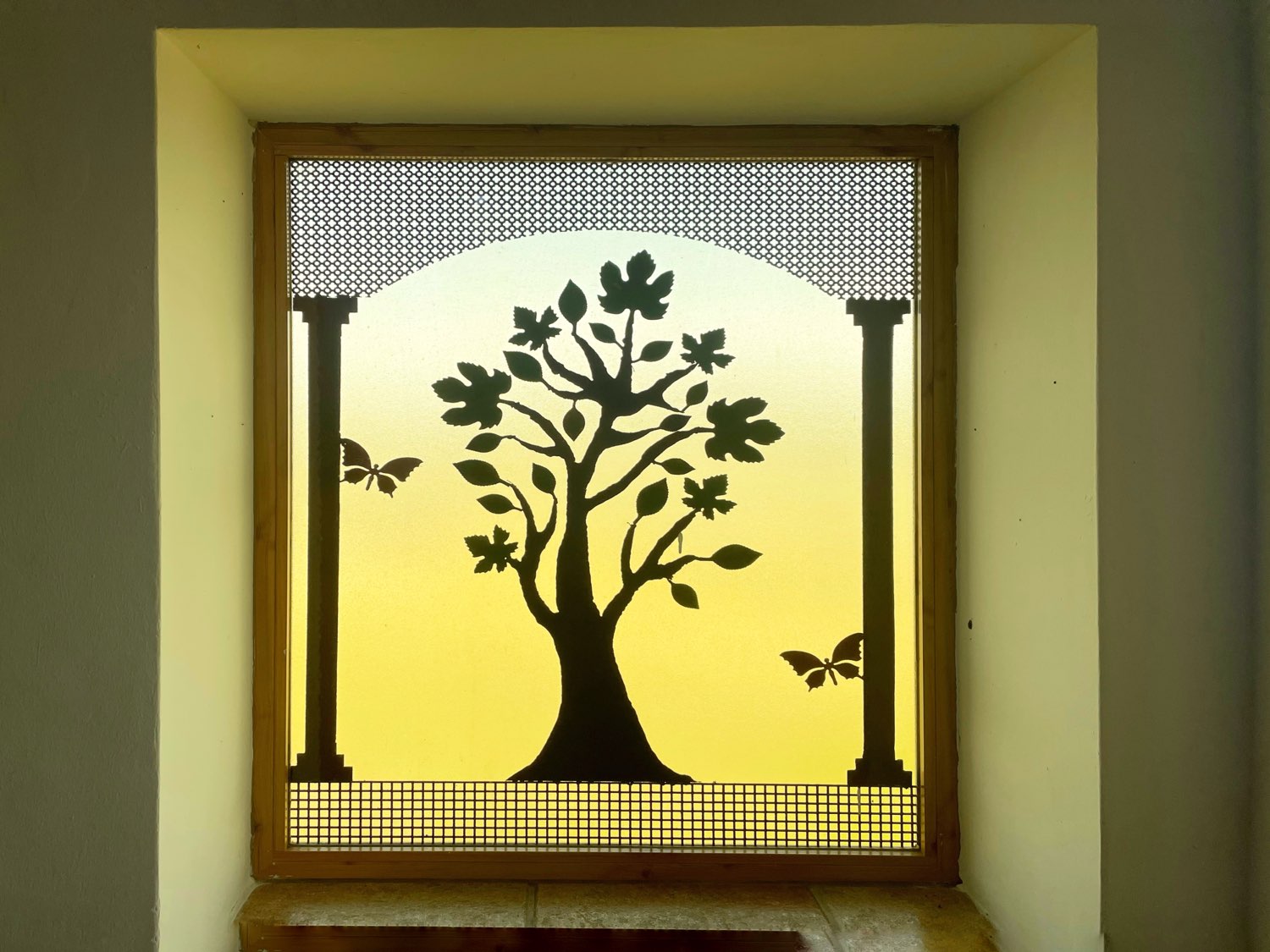 Parcela rústica de olivos 13.200m2 y casa registrada y piscina