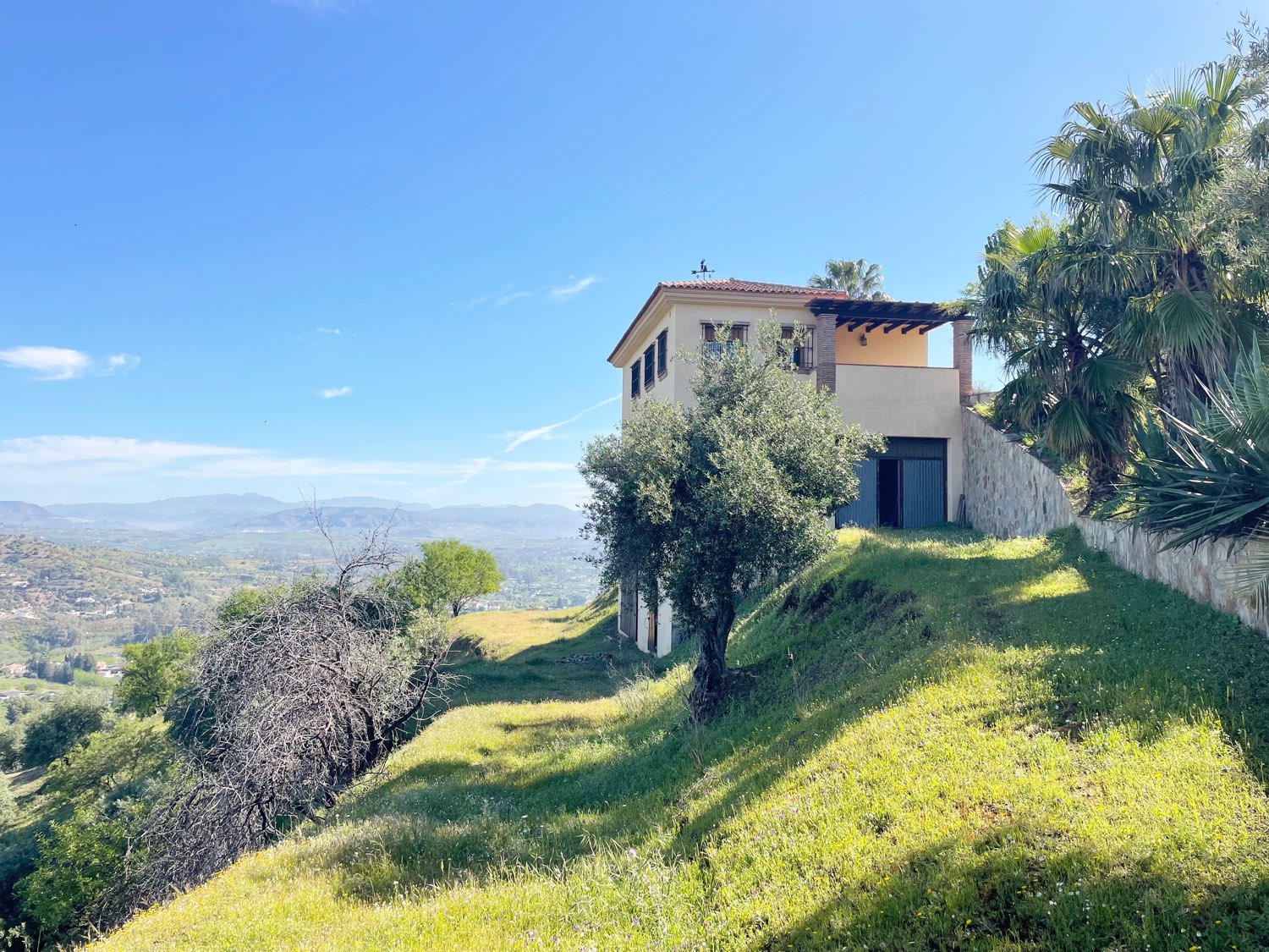 Parcela rústica de olivos 13.200m2 y casa registrada y piscina