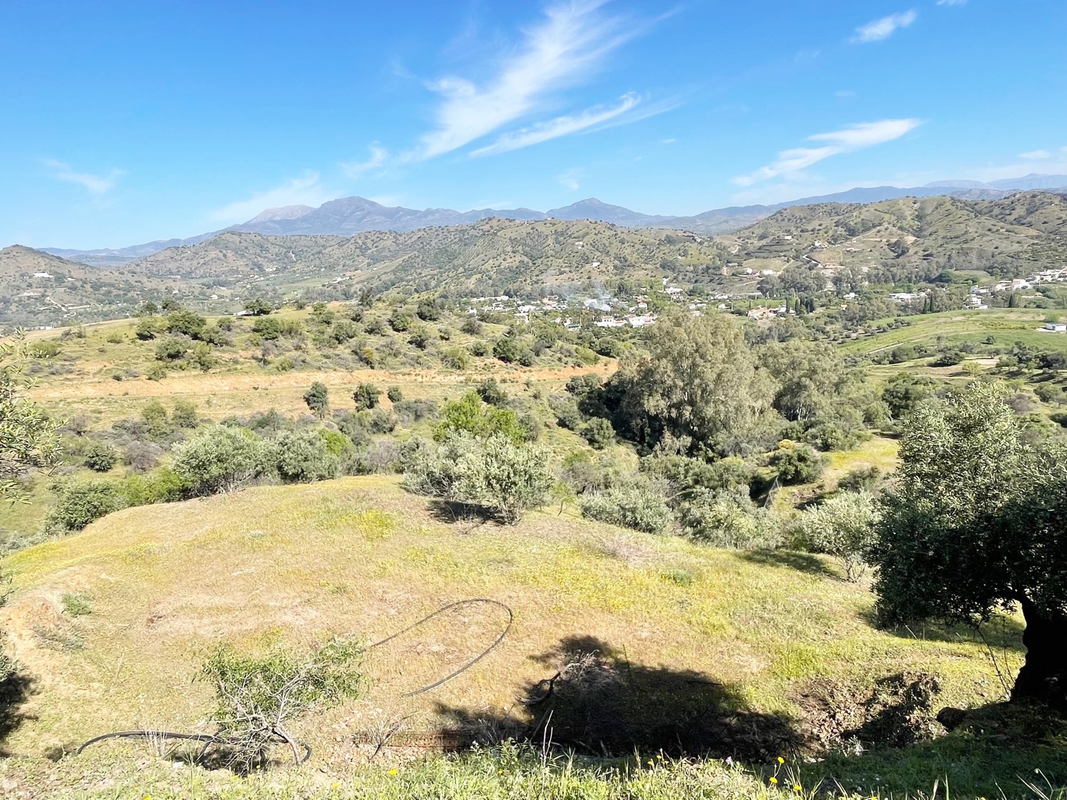 Parcela rústica de olivos 13.200m2 y casa registrada y piscina