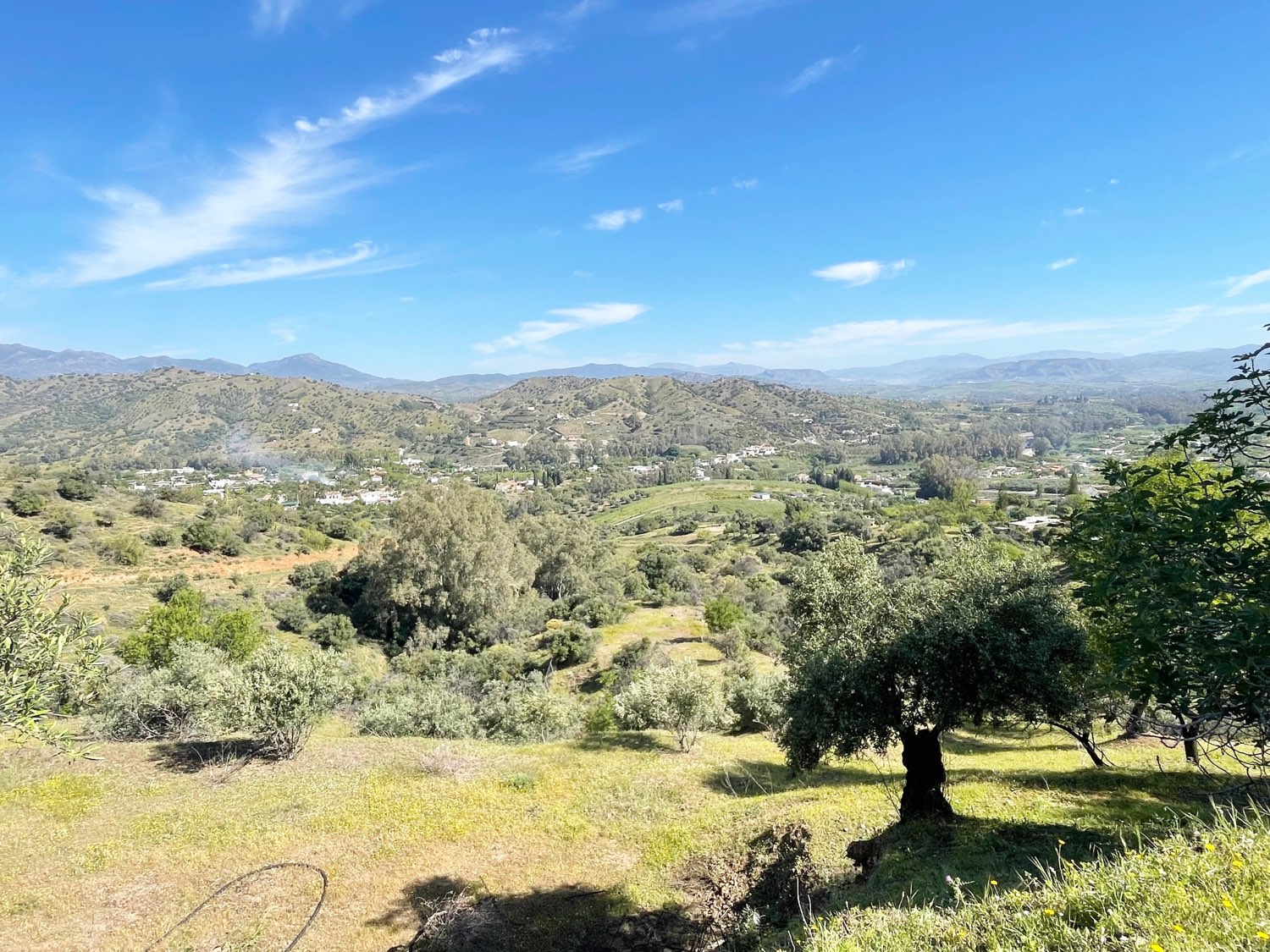 Parcela rústica de olivos 13.200m2 y casa registrada y piscina