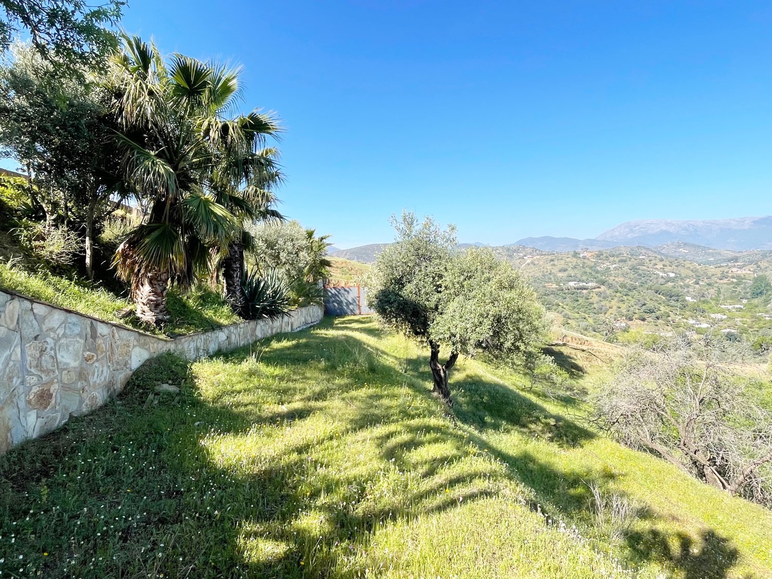 Parcela rústica de olivos 13.200m2 y casa registrada y piscina