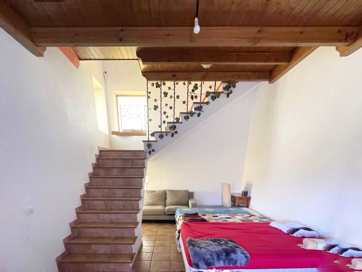 Parcela rústica de olivos 13.200m2 y casa registrada y piscina