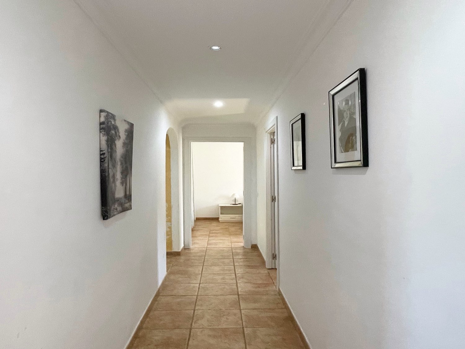 Parcela rústica de olivos 13.200m2 y casa registrada y piscina