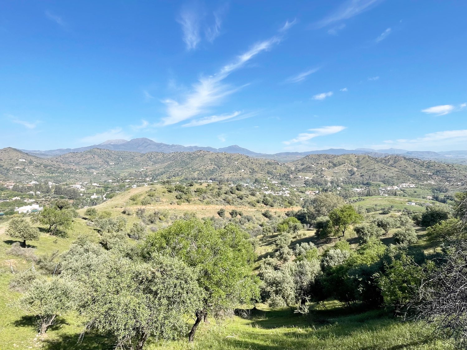 Parcela rústica de olivos 13.200m2 y casa registrada y piscina