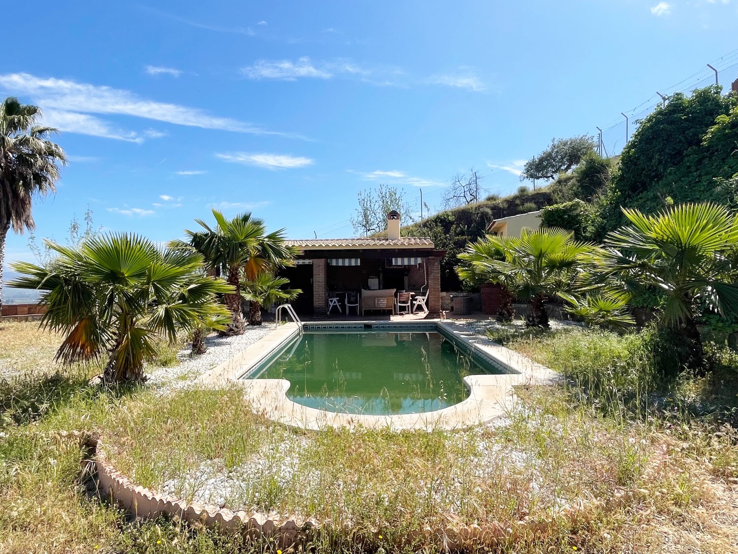 Parcela rústica de olivos 13.200m2 y casa registrada y piscina