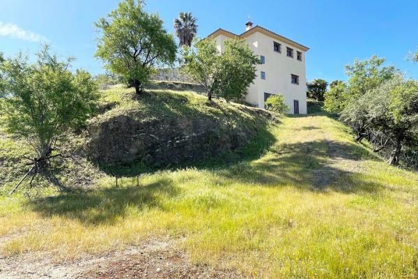 Parcela rústica de olivos 13.200m2 y casa registrada y p...