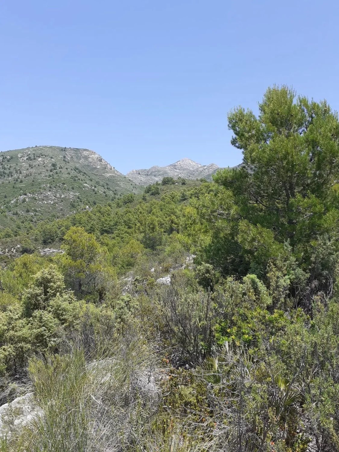 قطعة أرض للبيع في Nerja