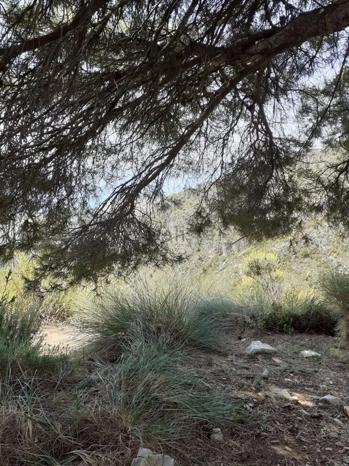 قطعة أرض للبيع في Nerja