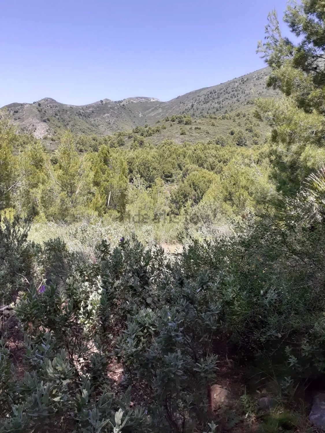 قطعة أرض للبيع في Nerja