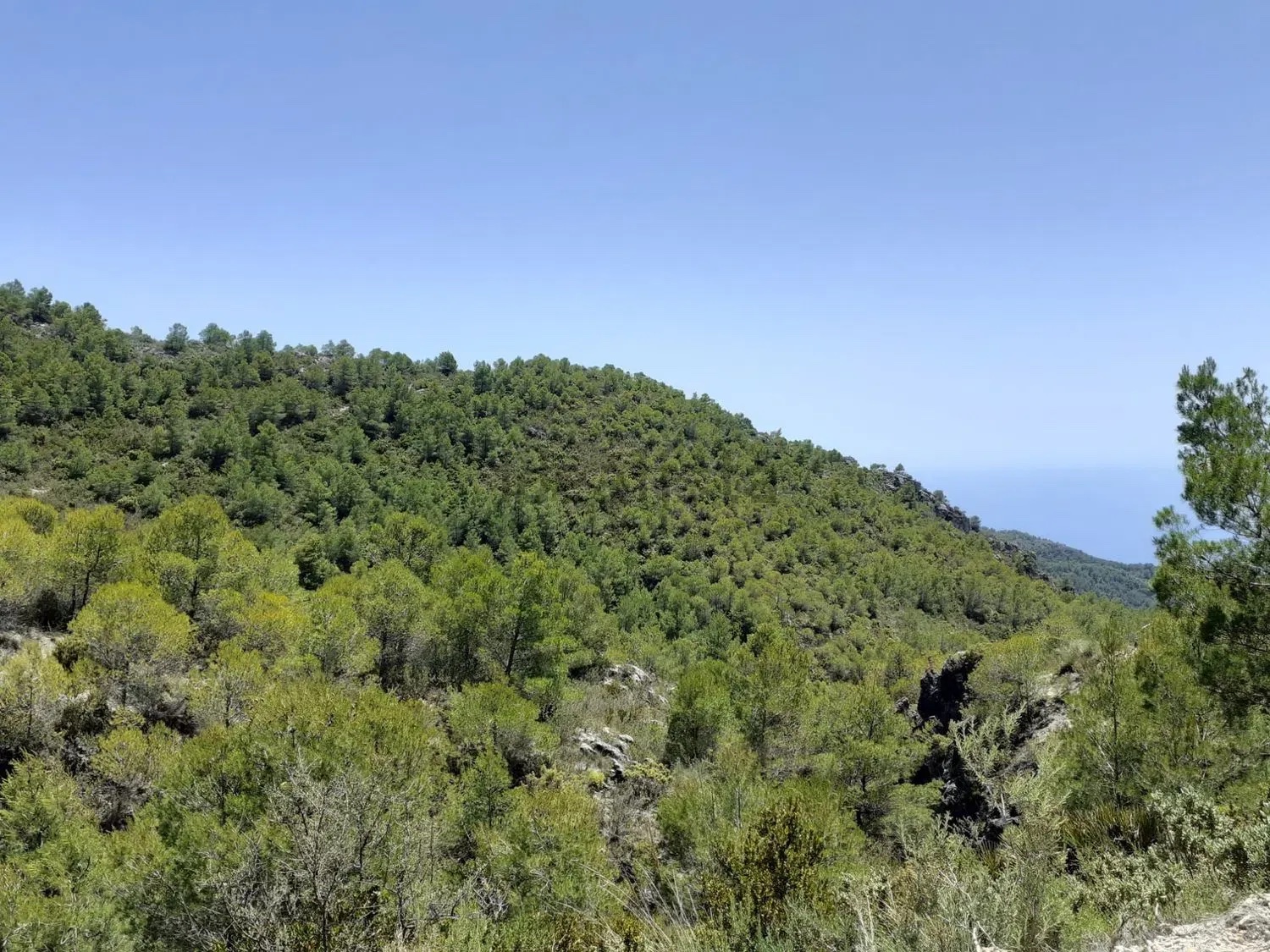 قطعة أرض للبيع في Nerja